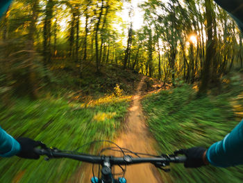 Blurred motion of person riding bicycle in forest