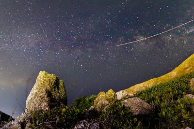 Low angle view of star field against sky at night