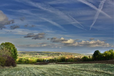 Scenic view of field against sky