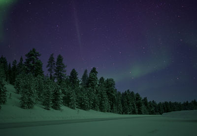 Trees on snow covered landscape