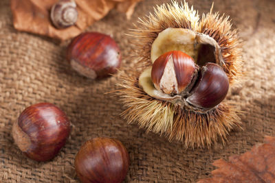 High angle view of fruits