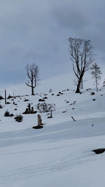 Bare tree on snow covered field against sky