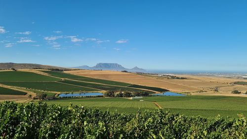 Scenic view of agricultural field against blue sky with table mountain in background