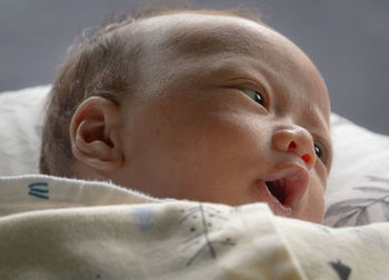 Close-up portrait of cute baby lying on bed