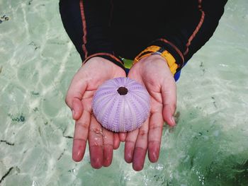 Midsection of person holding sea urchin in water