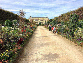 Footpath amidst flowering plants against sky