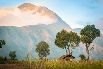 Scenic view of trees and mountains against sky