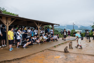 People looking at monkeys against cloudy sky