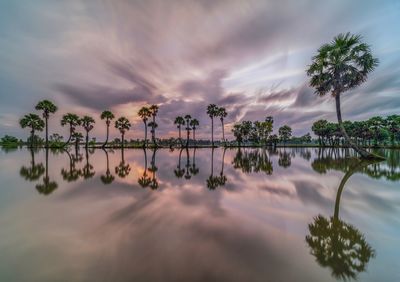 Scenic view of lake against sky during sunset