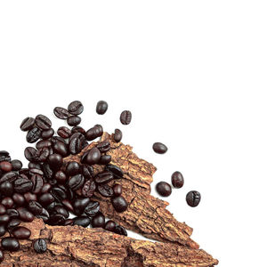 High angle view of coffee beans against white background