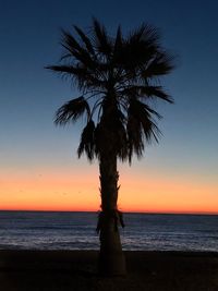 Silhouette palm tree by sea against sky during sunset