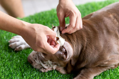 Close-up of man with dog