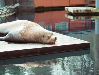 High angle view of water