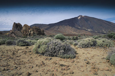 Scenic view of arid landscape against sky