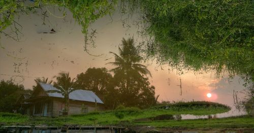 Palm trees against sky during rainy season