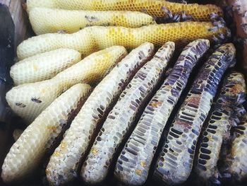 Close-up of bee hive for sale in market