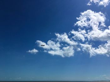 Low angle view of seagull flying against blue sky