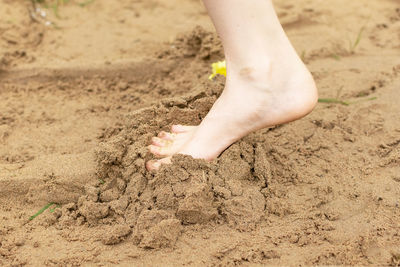 Low section of child on sand