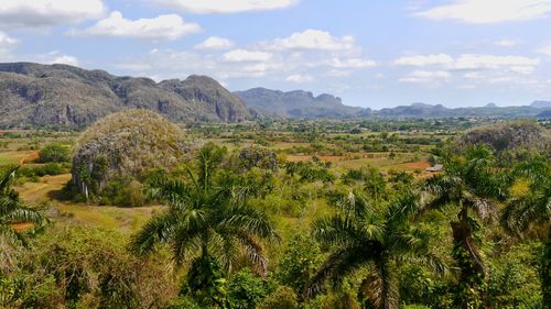 Scenic view of cuban landscape viñales with mountainrange against sky