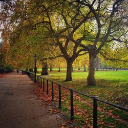 Footpath in park