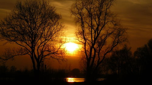 Silhouette bare trees against sky during sunset