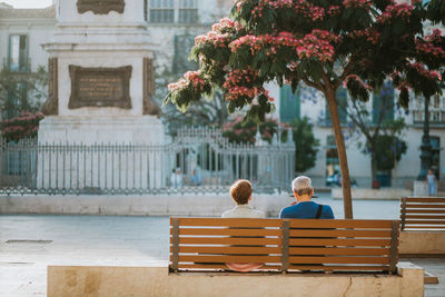 Rear view of man and woman sitting on bench by tree