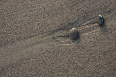 High angle view of stone on sand