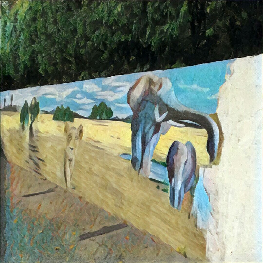 VIEW OF HORSE IN THE ANIMAL