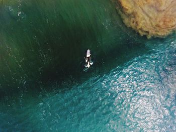 Aerial view of surfer in water