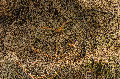 Full frame shot of fishing net