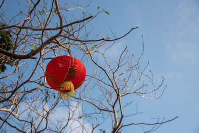 Red chinese lanterns on blue sky background, floating lanterns next to the tree.