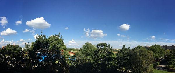 Low angle view of trees against cloudy sky