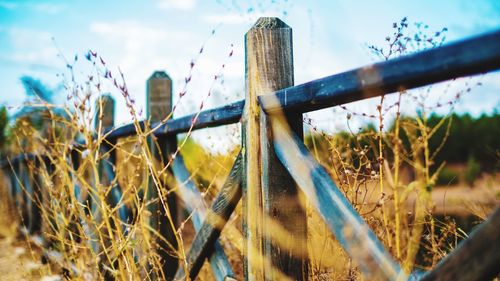 Close-up of metal fence on field