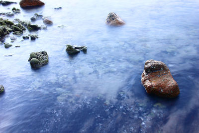 High angle view of rocks in sea