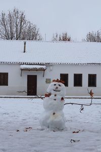 White dog on snow covered building