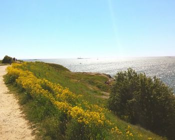 Scenic view of calm sea against clear sky