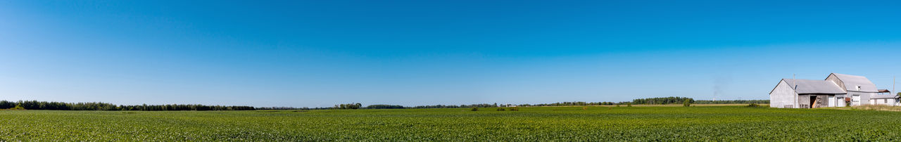 Scenic view of field against blue sky