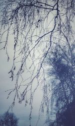 Bare tree against sky during winter