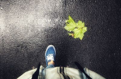 Low section of man standing on street