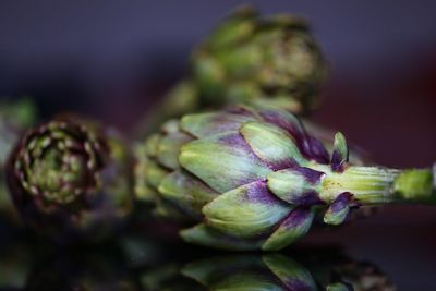 Close-up of green chili peppers