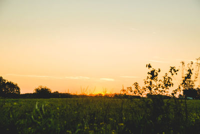 Scenic view of field against sky during sunset