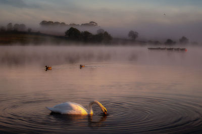 Scenic view of a lake