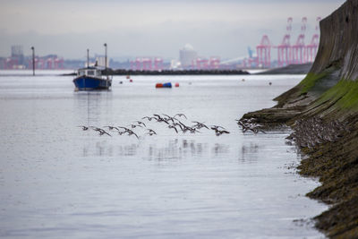 Scenic view of river against sky