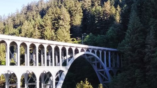 Arch bridge against trees in forest