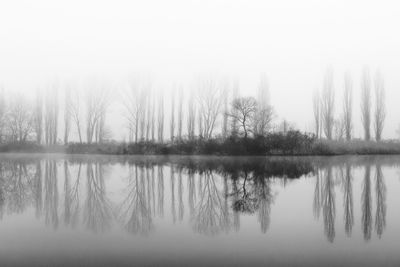 Reflection of trees in lake against sky