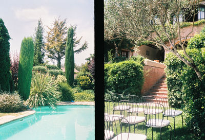 Plants by swimming pool against sky
