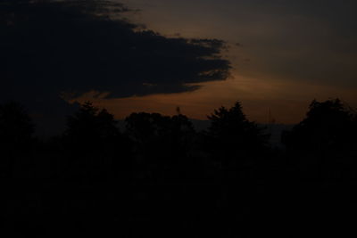 Silhouette trees against sky during sunset