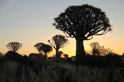 Silhouette of trees on field against sky at sunset