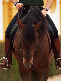 Low section of man sitting on horse