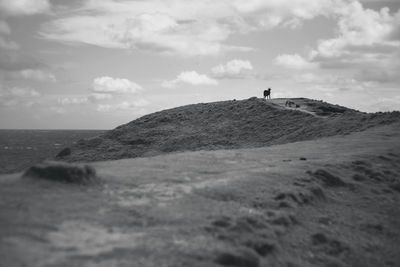 Man walking on sand at beach against sky